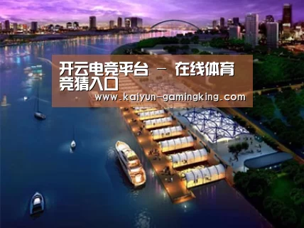 案例展示八