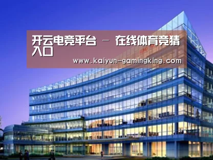 案例展示五