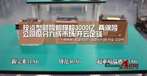 投资型财险规模超3000亿 两保险公司瓜分九成市场|开云足球(图2) 开云篮球